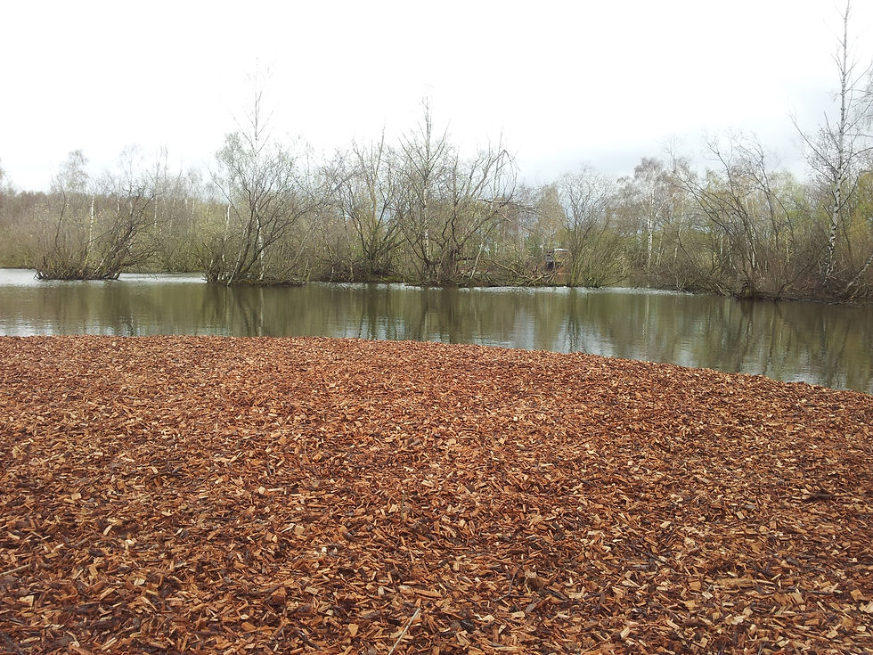 View From the Peg