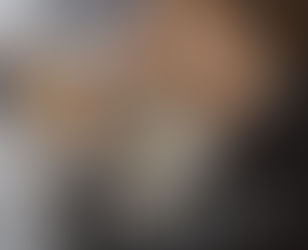 LA QUATTORDICESIMA DOMENICA DEL TEMPO ORDINARIO