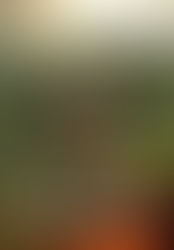 O QUE ARDE (Versione Originale)