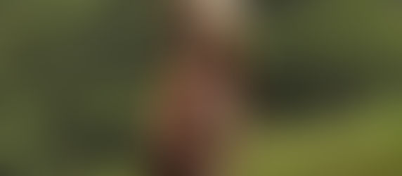 O QUE ARDE (Versione Originale)