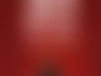 L'UOMO CHE VENDETTE LA SUA PELLE