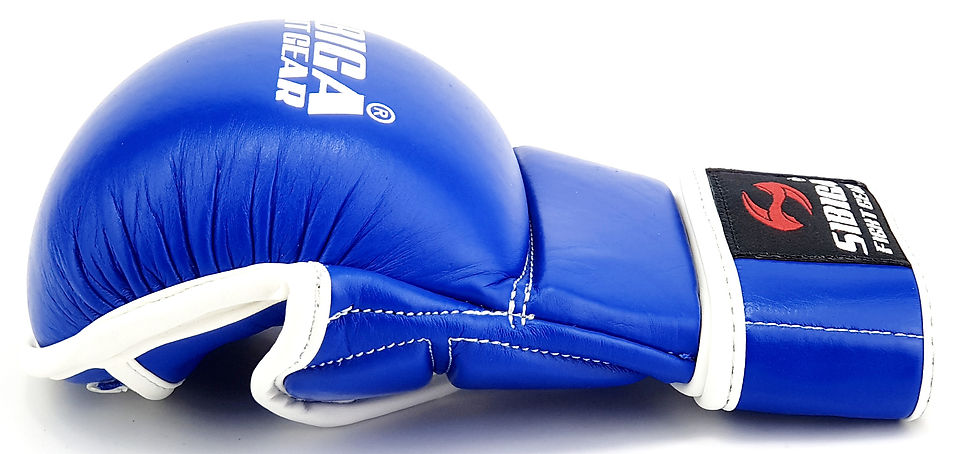 Blue mma sparring gloves