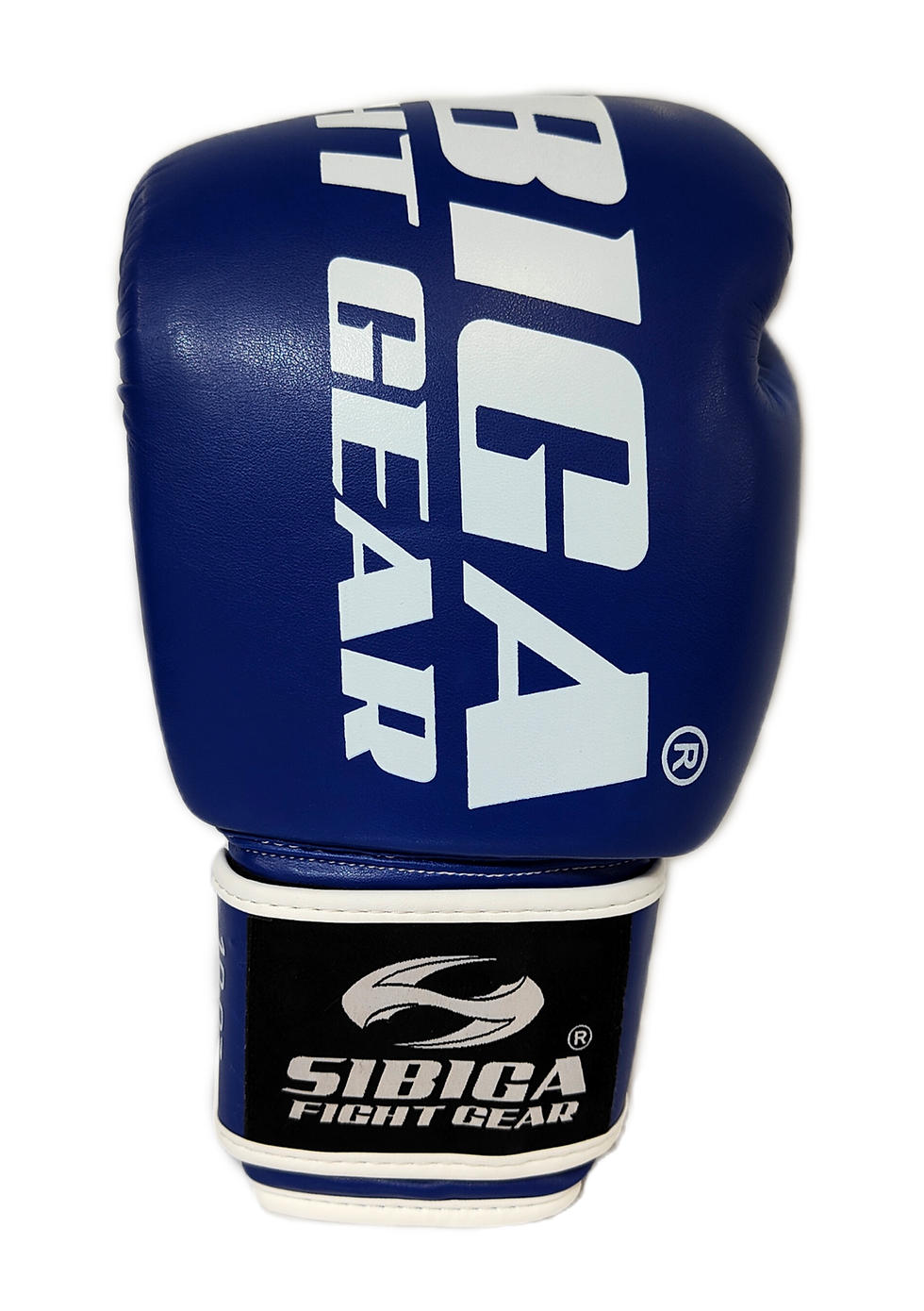 Thumbnail: blue boxing gloves