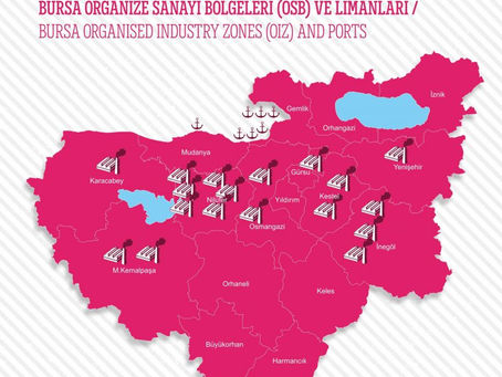 Görünmeyen Güç Bursa Kimya Sektörü