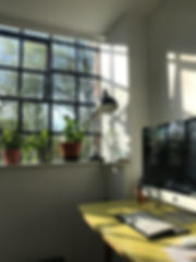 IMG_6526.jpeg