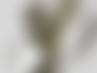 【ニュースリリース】ヨコハマトリエンナーレ2020 × ワンスレッド タイアップグッズ発売