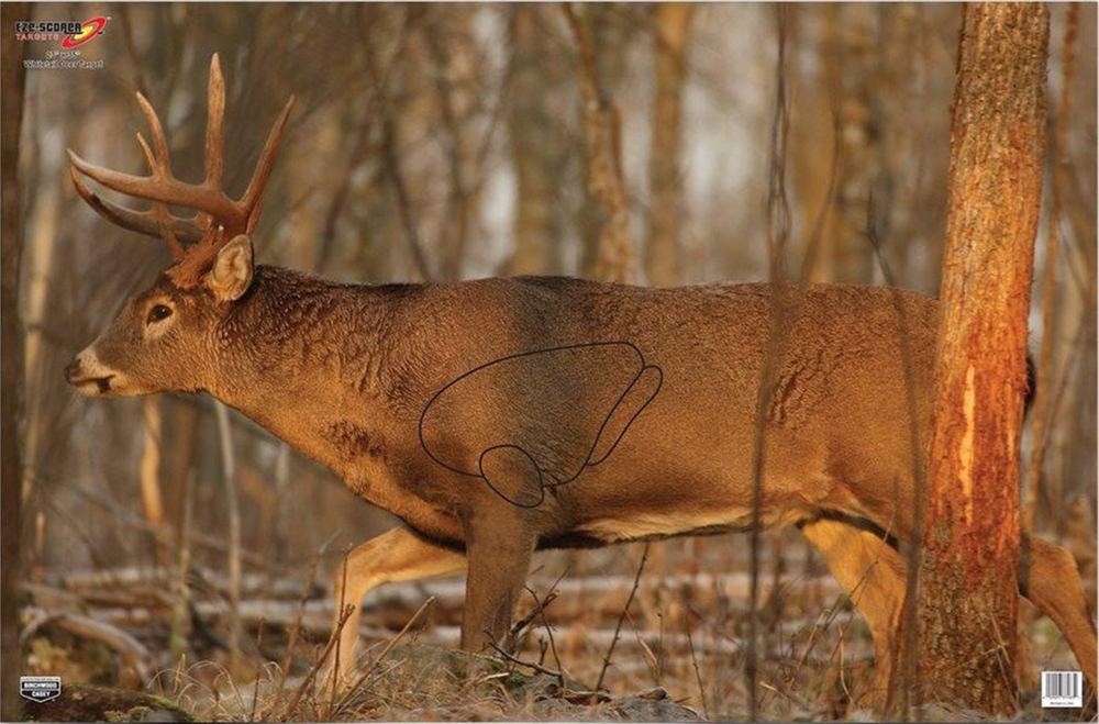 Archery 101: A Guide to the Best Archery Targets
