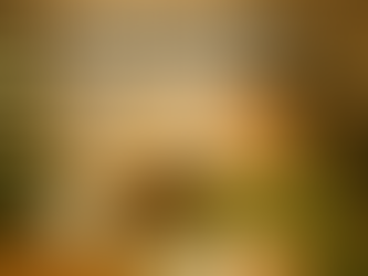 The Disciplined Entrepreneur: Guest Blogger Dean Van Dyke