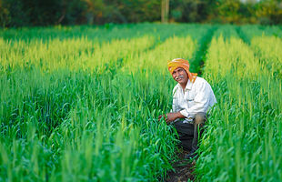 AGRI.jpg