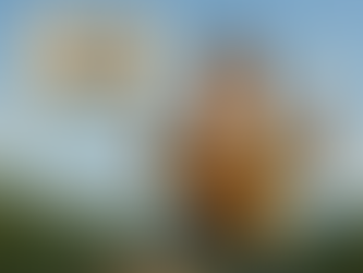 Friday Call to Action: Best Video Practice Run