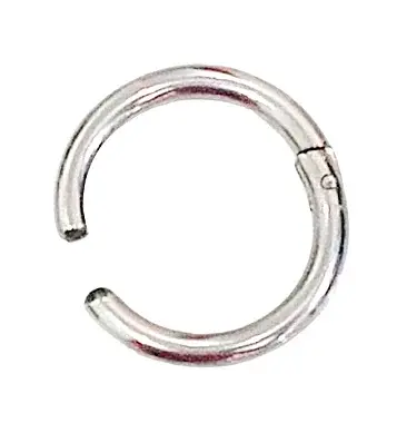 Miniatura: Argola Fake