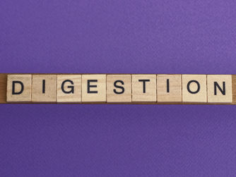Why Digestion Matters