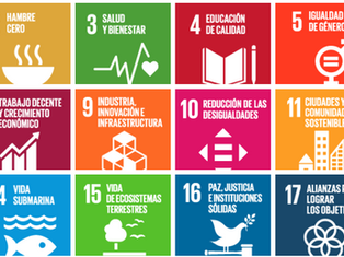 Los 17 Objetivos de Desarrollo Sostenible (ODS)