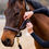 Thumbnail: Thinline Two-Piece Halter Cheekpiece Covers