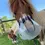 Thumbnail: Thinline Flexible Filly Grazing Muzzle