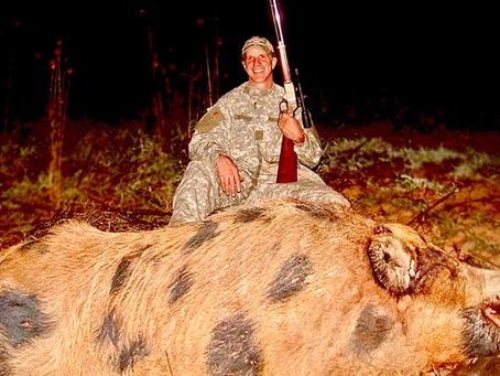 A hog as big as a couch