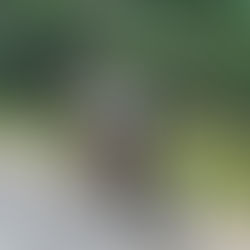 Assurance Vélo Compétition : Protégez Votre Précieux Vélo et Votre Performance