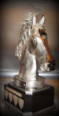 HYP136 CHESS MASTER2