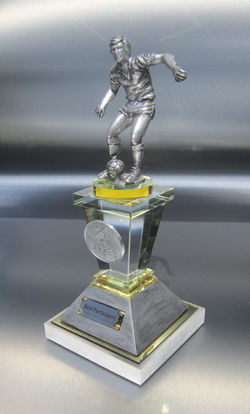 HYP65 Soccer Champion 1 - 230mm