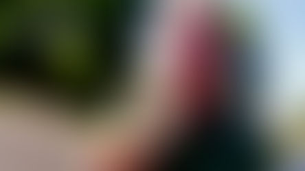 Кто это такие? - спрашивает судья Виталий Ковтуненко у полицейского.