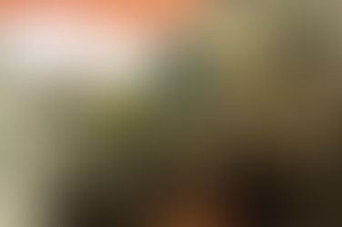 ❓ Как уволиться из ВСУ по семейным обстоятельствам: работает ли закон в 2025 году?