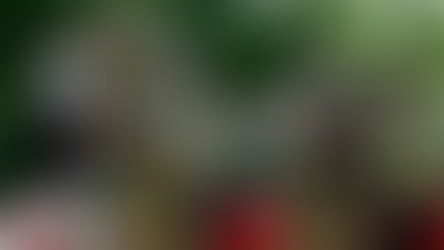 Новости о ТЦК: факты или очередные "фейки"?