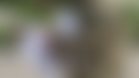 Почему ТЦК массово рассылают штрафы? Стараются успеть! После 17 июля 2025 года неуточнение данных не будет считаться основанием для штрафа