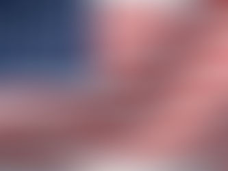 U.S Flag