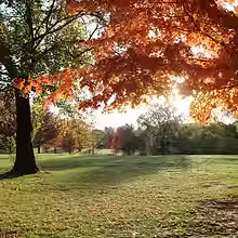 BryanPark.avif