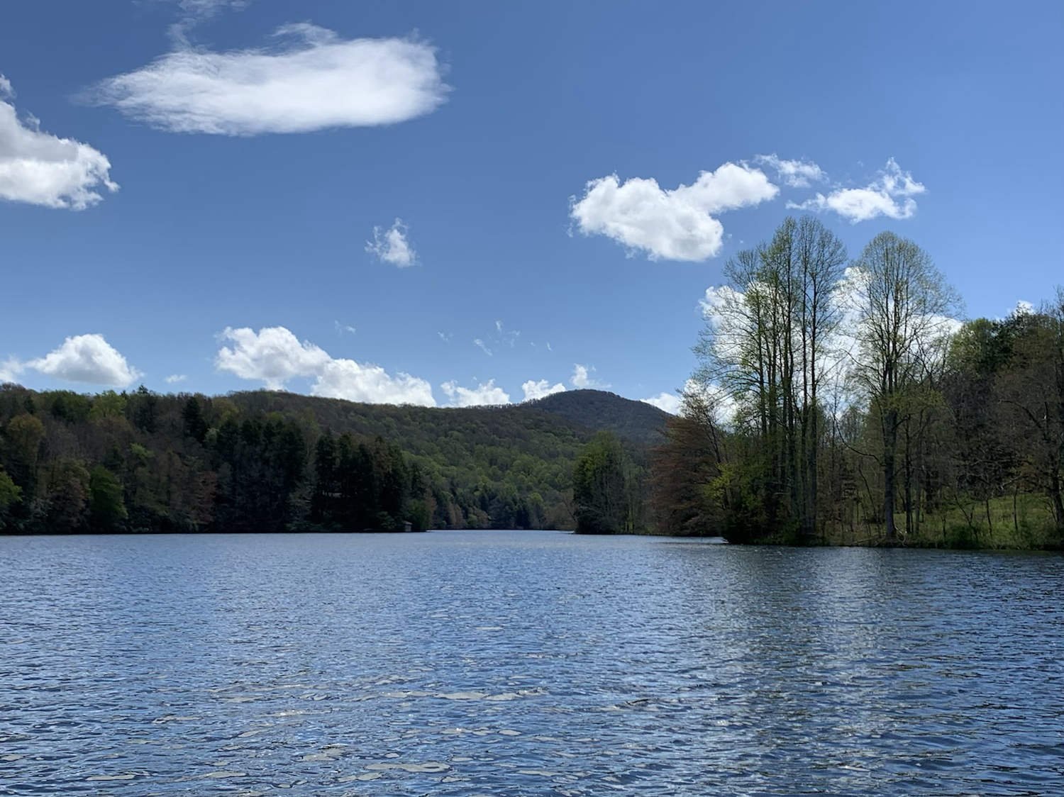 Writer: Ripshin Lake Corporation