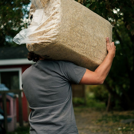 FarmStraw-4551-scaled-1280x1280-1637167630.jpg