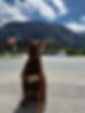 IMG_9706.jpeg