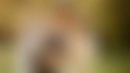 Fresh Ideas to Craft a Wedding Day You’ll Always Treasure