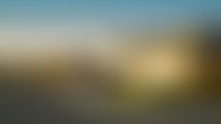 The Dangers That Come With Ignoring Your Gutters