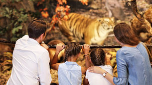 5 Screen-Free Activities for Children