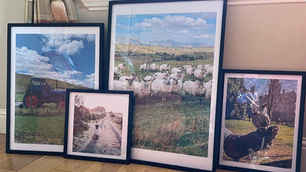 Creating Posters from my Photos with Photowall
