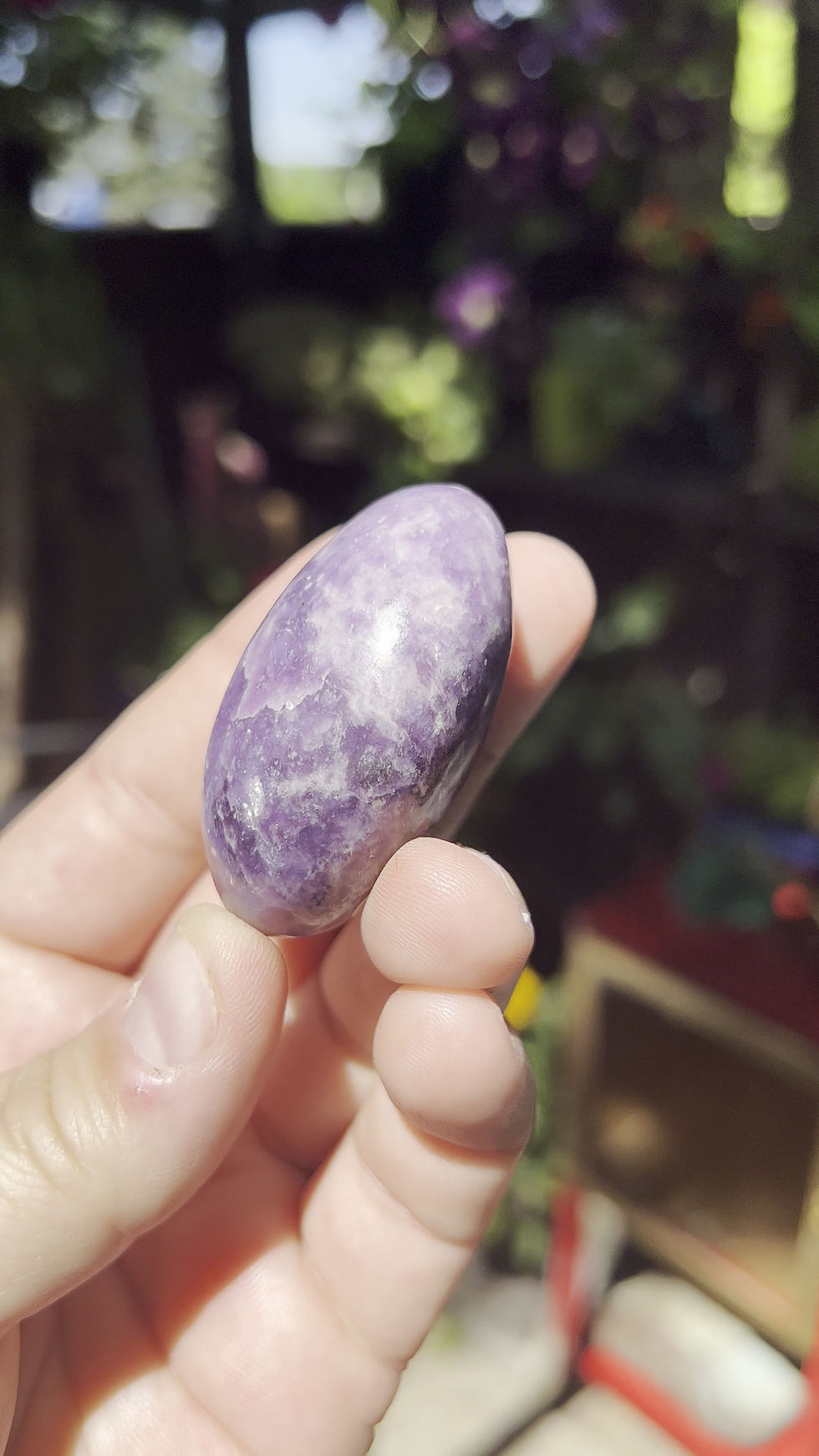 Thumbnail: Lepidolite Palm Stone