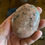 Thumbnail: Cipolin Palm Stone