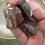 Thumbnail: Petrified Wood Tumbles