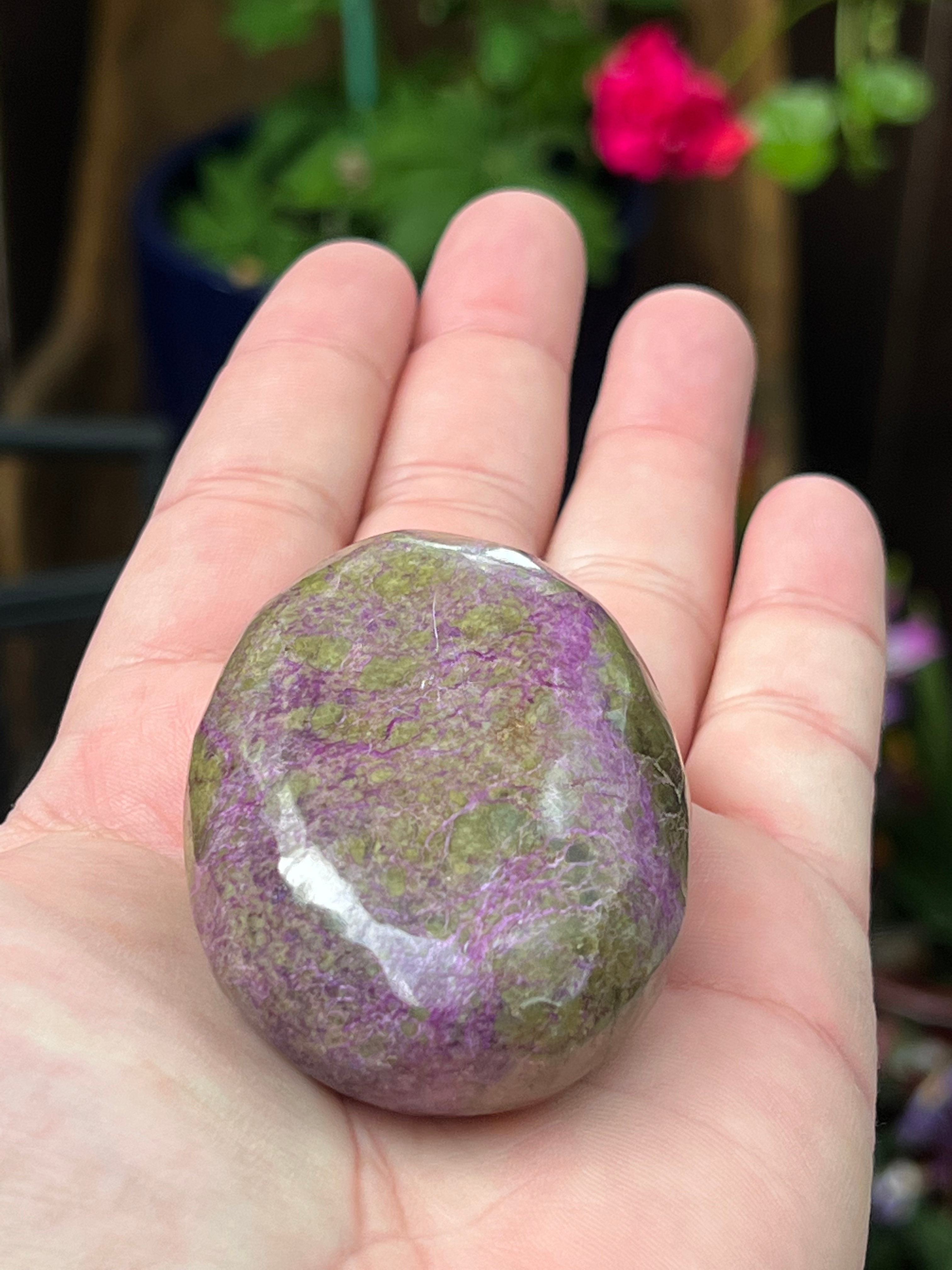 Atlantisite Palm Stone