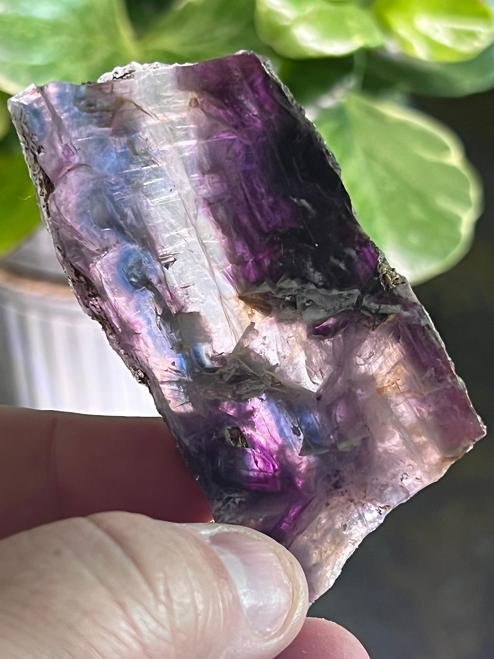 Thumbnail: Rainbow Fluorite Slab