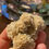Thumbnail: Desert Rose Cluster