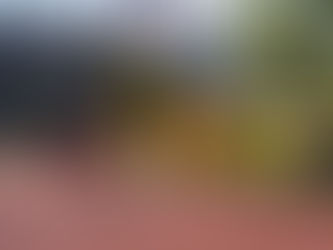 Raiffeisen Dornbirn Lions Street Jam geht in die 3. Runde!