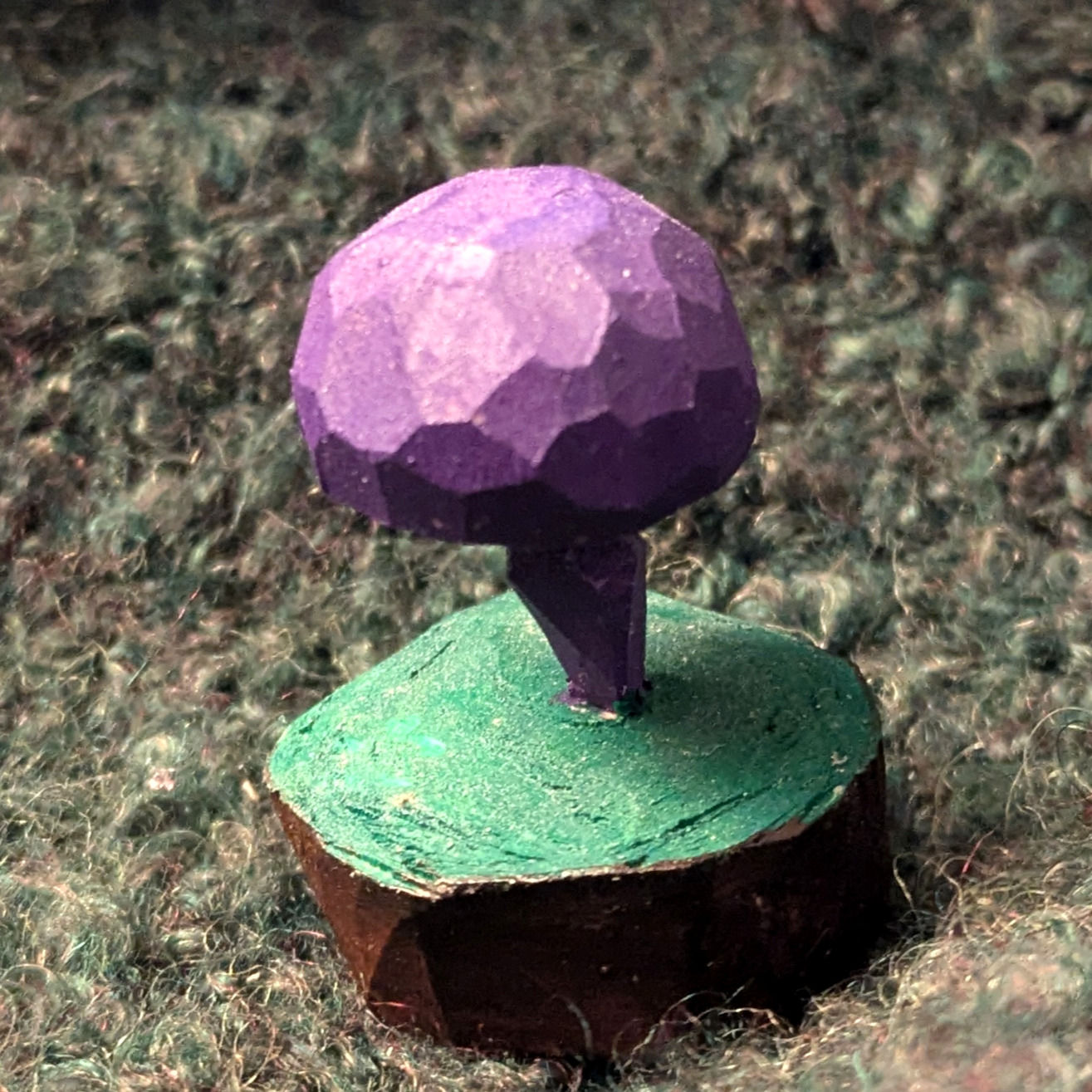 Amethistzwam (laccaria amethystina)