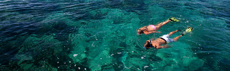 snorkeling tour_edited.jpg