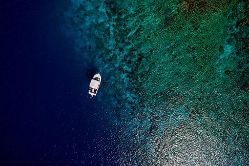 cozumel island.jpg