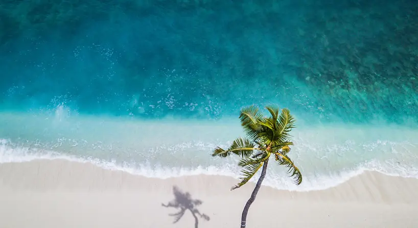Riviera-Maya-header-option-2.png