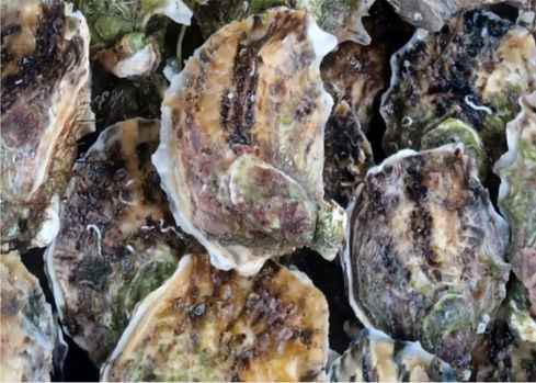 menu boissons_edited.jpg