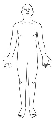 human-body-unlabelled-diagram.jpg