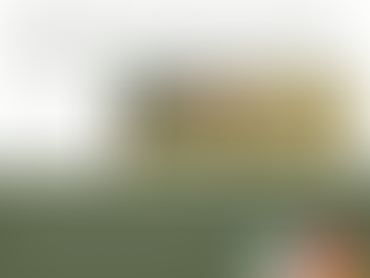 GoGreen - "Les couleurs au Jardin" Janvier 2023 Pepinière La Pépi